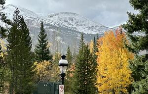 Cozy Elegance in the Heart of Breckenridge - Breckenridge, Colorado