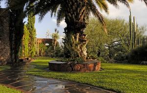 Nirvana Retreat - San Miguel de Allende, Mexico