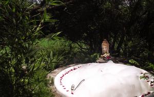 Nirvana Retreat - San Miguel de Allende, Mexico