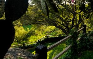 Nirvana Retreat - San Miguel de Allende, Mexico