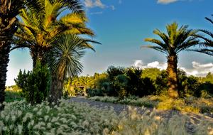 Nirvana Retreat - San Miguel de Allende, Mexico