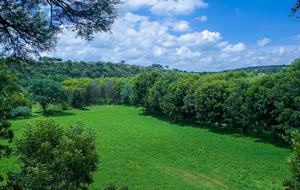 Nirvana Retreat - San Miguel de Allende, Mexico
