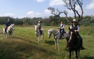 Nirvana Retreat - San Miguel de Allende, Mexico