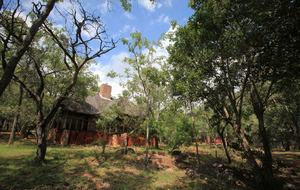 Big Five Game Lodge Tsheshepe - Vaalwater, South Africa