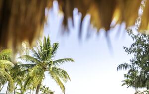 Royal Belize Private Island - Ragged Caye, Belize