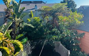Light-Filled Victorian with Garden in the Heart of the Mission - San Francisco, California