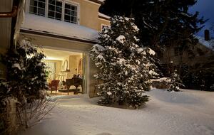 The backyard looking into the living room
