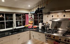 The kitchen, looking into the backyard