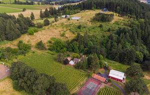 Modern Comfort Meets Vintage Charm in Oregon Wine Country - Newberg, Oregon