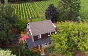 Modern Comfort Meets Vintage Charm in Oregon Wine Country - Newberg, Oregon