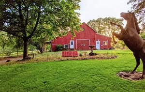 Modern Comfort Meets Vintage Charm in Oregon Wine Country - Newberg, Oregon