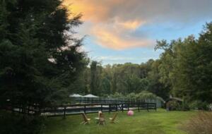 Charming Mid-century renovation in the Hudson Valley - Pawling, New York