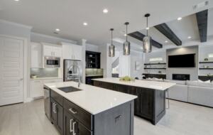 ABOVE - Exquisite Retreat on 1.6 Acres in Gated Community - Austin, Texas