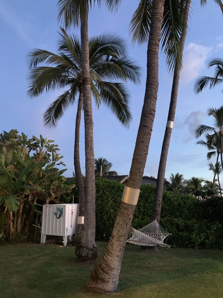 Oceanfront Escape on Oahu’s West Side - Waianae, Hawaii