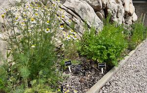 A Serene Stone Villa with Adriatic Sea Views - Poljane, Croatia