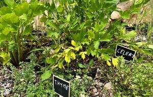 A Serene Stone Villa with Adriatic Sea Views - Poljane, Croatia