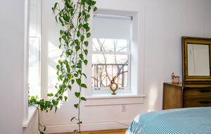Corner Brownstone Duplex in Historic Park Slope - New York City, New York