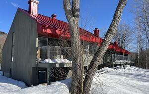 Quebec City so close : ski-in ski-out cozy chalet - Stoneham, Canada