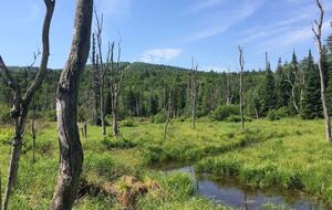 Bretton Woods Luxurious Lodge - Bretton Woods, New Hampshire