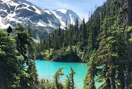 Ski-In/Ski-Out Alpine Retreat in Whistler - Whistler, Canada