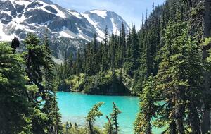 Ski-In/Ski-Out Alpine Retreat in Whistler - Whistler, Canada