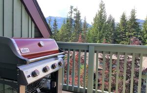 Ski-In/Ski-Out Alpine Retreat in Whistler - Whistler, Canada