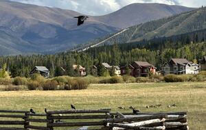 A Refined Mountain Retreat in Fraser - Fraser, Colorado