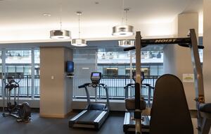 Urban Oasis Overlooking Lake Ontario - Toronto ON, Canada