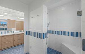 Master bath shower