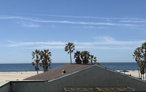 Luxury by the Sea | A Venice Beach Architectural Gem - Venice, California