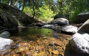 Refined Lake Tahoe Retreat with Private HOA Beach Access - Homewood, California