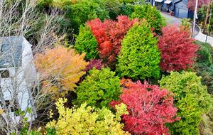 Skyline Sanctuary | Sweeping Views of Downtown Portland - Portland, Oregon