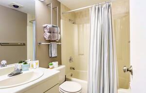 Elegant Ski-In/Ski-Out Townhome with Lake Access - McHenry, Maryland