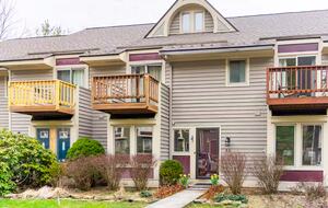 Elegant Ski-In/Ski-Out Townhome with Lake Access - McHenry, Maryland