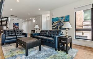 Main floor living room with fold out queen bed