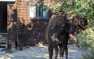 Secluded Wilderness Retreat Minutes from Park City - Park City, Utah
