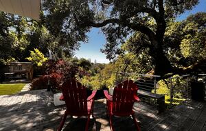 Modern Napa Hideaway Overlooking the River - Napa, California