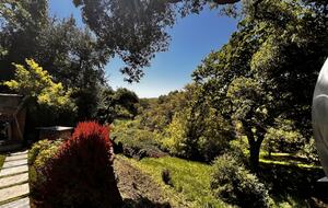 Modern Napa Hideaway Overlooking the River - Napa, California