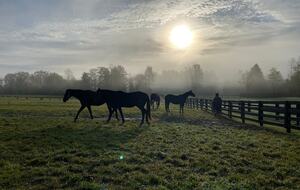 Lake Days & Leisure at Saratoga Springs - Saratoga Springs, New York
