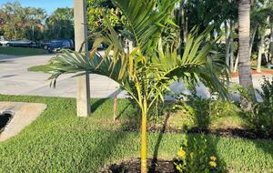 A Vibrant Retreat Near Naples Beach - Naples, Florida