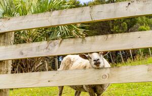 Pebblebrooke Views | A Tasteful Country Retreat in Mangawhai - Mangawhai, New Zealand