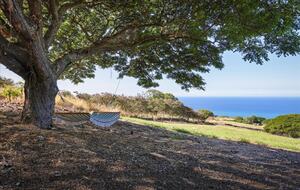 Ultra-Luxury Living on the Kona Coast - Kealakekua, Hawaii