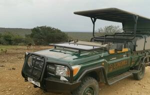 Exclusive Off-Grid Lodge Near Addo National Park - Addo, South Africa