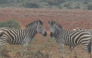 Exclusive Off-Grid Lodge Near Addo National Park - Addo, South Africa