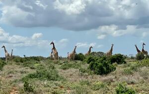 Exclusive Off-Grid Lodge Near Addo National Park - Addo, South Africa
