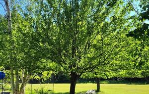 Relaxed Country Living Minutes from Lake Superior - L'Anse, Michigan