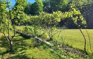 Relaxed Country Living Minutes from Lake Superior - L'Anse, Michigan