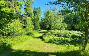 Relaxed Country Living Minutes from Lake Superior - L'Anse, Michigan