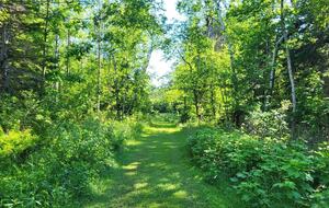 Relaxed Country Living Minutes from Lake Superior - L'Anse, Michigan