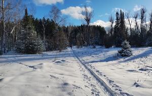 Relaxed Country Living Minutes from Lake Superior - L'Anse, Michigan